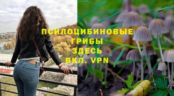 СК Верхний Тагил