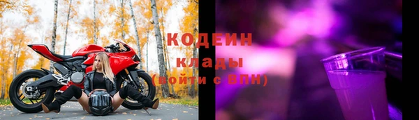 СК Верхний Тагил