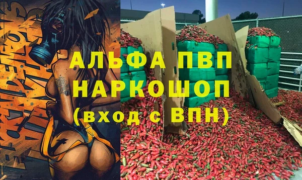 ГАЛЛЮЦИНОГЕННЫЕ ГРИБЫ Верея