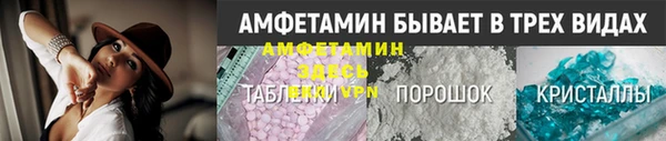 ГАЛЛЮЦИНОГЕННЫЕ ГРИБЫ Верея