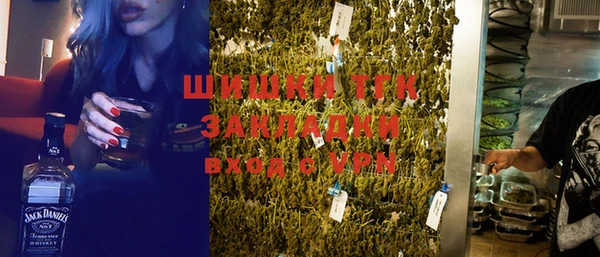 ГАЛЛЮЦИНОГЕННЫЕ ГРИБЫ Верея